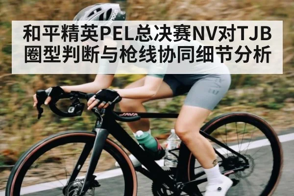 和平精英PEL总决赛NV对TJB圈型判断与枪线协同细节分析